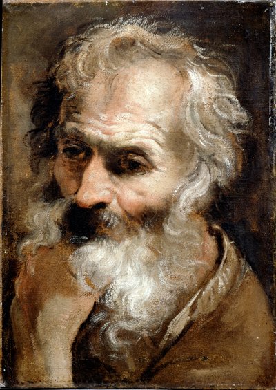 Head of an Old Man by Annibale Carracci